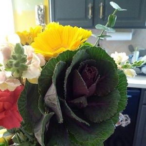 Meet your Posher, Mandy